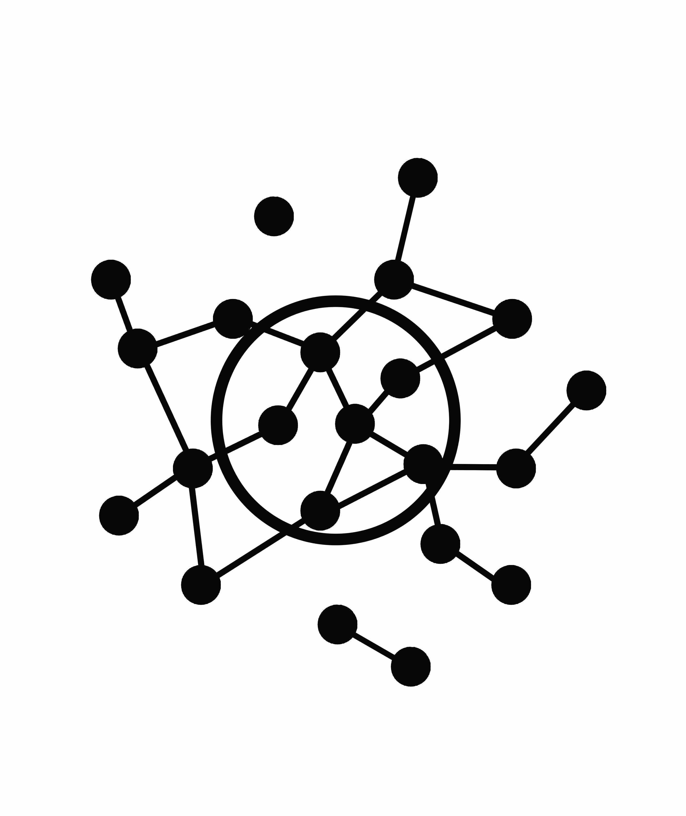 Network Search Animation